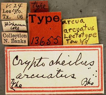 Media type: image;   Entomology 13655 Aspect: labels 3